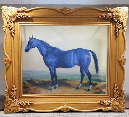 Kentucky Horse Park by null