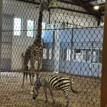 Seneca Park Zoo - Zoos Near Me - Rochester, New York
