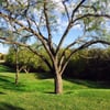 Fish Creek Linear Park gift card