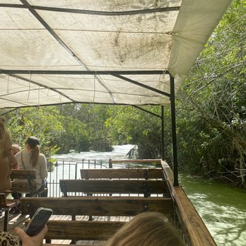 Jungle Adventures - Boat ride - Tours Near Me - Christmas, Florida Jungle Adventures - Boat ride - Tours Near Me - Christmas, Florida