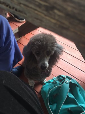 Faber Vineyard by null