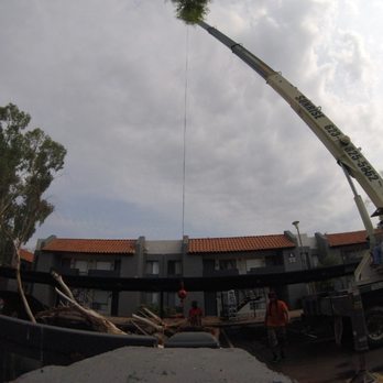 Ozzy Tree Service - Tree Services Near Me Ozzy Tree Service - Tree Services Near Me