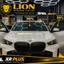Lion Window Tinting