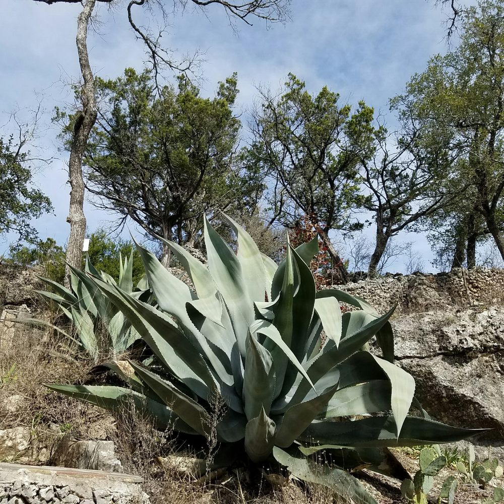 Cascade Caverns - Tours Near Me - Boerne, Texas Cascade Caverns - Tours Near Me - Boerne, Texas