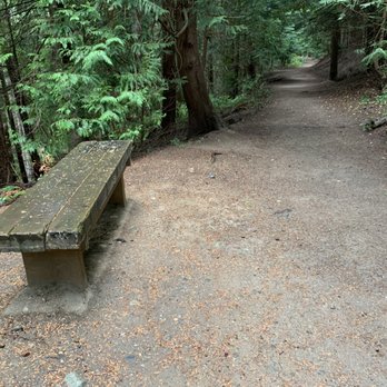 Pine Ridge Park - Bench along the trail. - Parks Near Me - Edmonds, Washington Pine Ridge Park - Bench along the trail. - Parks Near Me - Edmonds, Washington