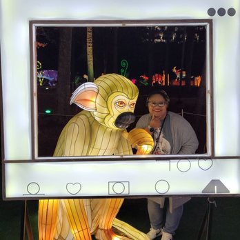Chinese Lantern Festival - Festivals Near Me - Cary, North Carolina