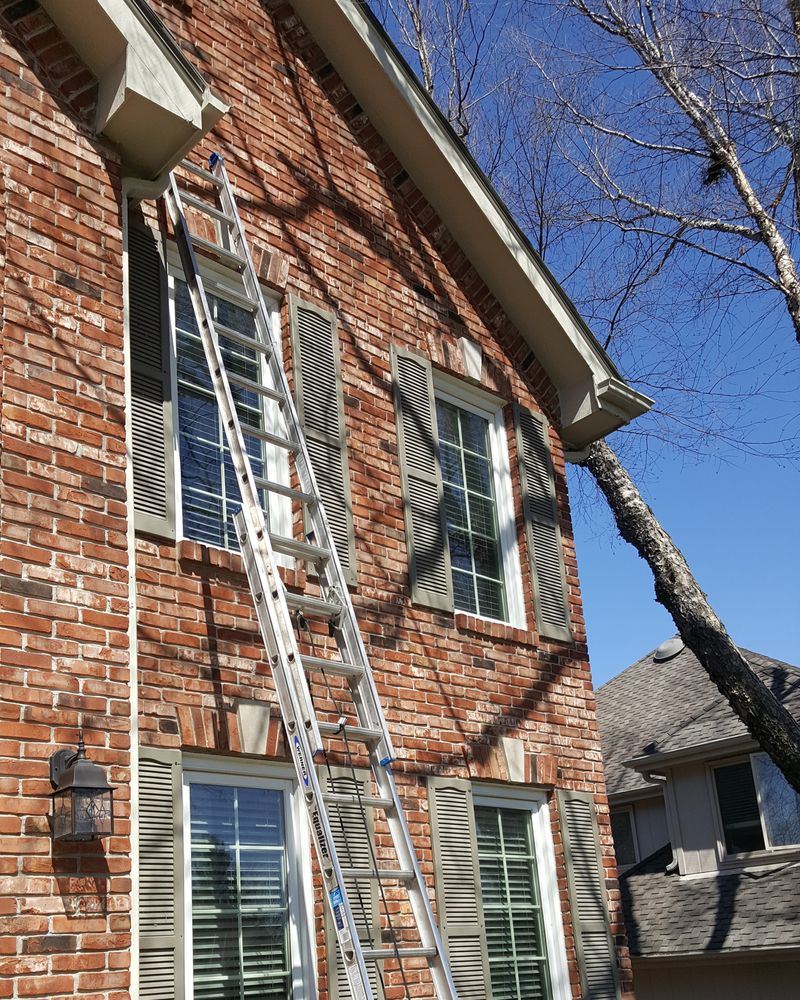 Bell's Gutter - tree service in Bellevue, NE
