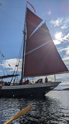 Windjammer Angelique by null