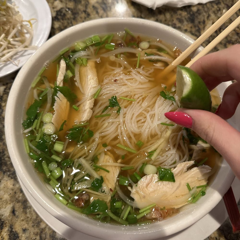Saigon Noodle House - P8. Phở Gà- Sliced Chicken - Vietnamese Near Me - Birmingham, Alabama