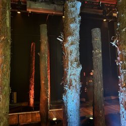 A Forest For The Trees - Trees