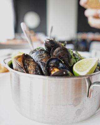 Watervue Grille- Downtown Tampa- Harbour Island by null