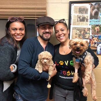 Posh Pets Rescue - Our first family photo with older brother Twix - Animal Shelters Near Me - Long Beach, New York