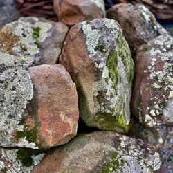 Sal Rodriguez Landscapes - Transform your outdoor space with our stunning moss rocks and boulders.