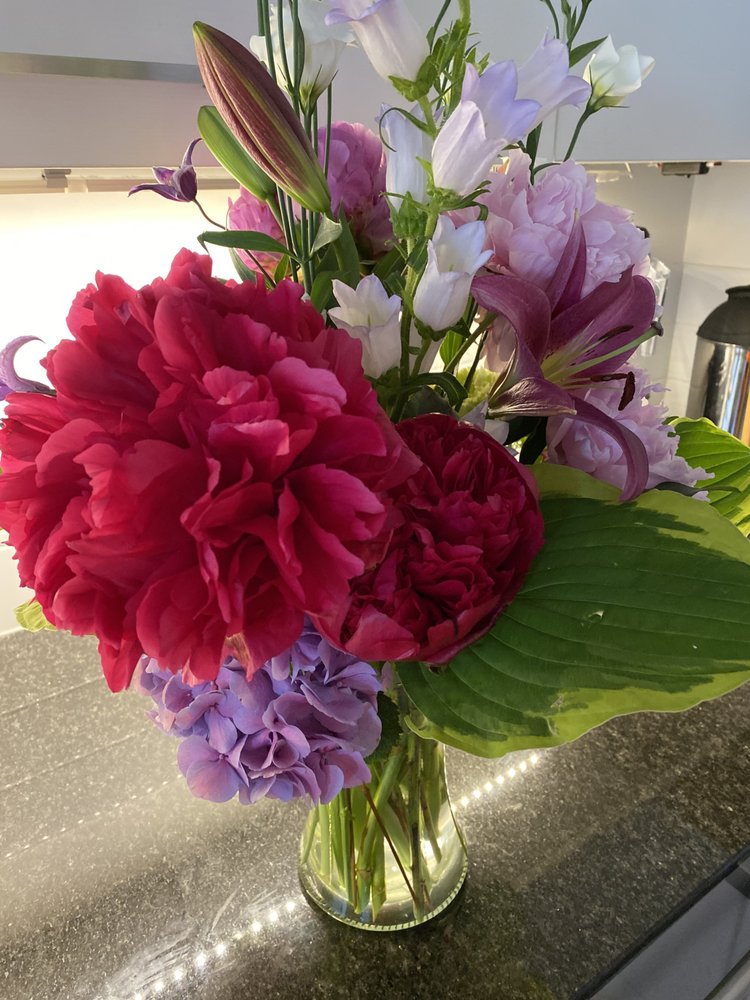 STUDIO BLOOM Updated September 2024 10991 124 Street, Edmonton