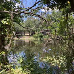 Florida College Preserve - Hillsborough river