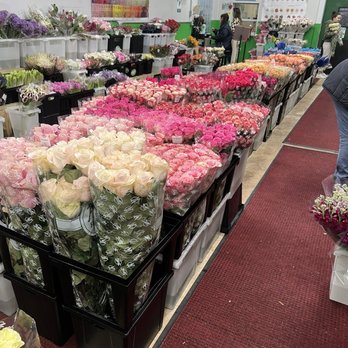 Jet Fresh Flower Distributors - flowers - Florists Near Me - Doral, Florida Jet Fresh Flower Distributors - flowers - Florists Near Me - Doral, Florida