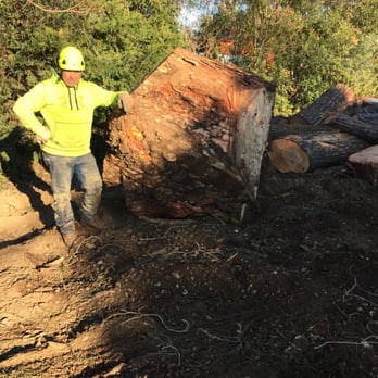 Pacific Crest Arborist - Tree Services Near Me Pacific Crest Arborist - Tree Services Near Me