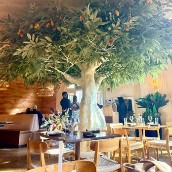 Spicy Mango - Interior Shot - Caribbean Near Me - New Orleans, Louisiana