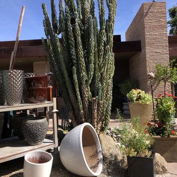 Lotus Garden Center - Nurseries & Gardening Near Me - Palm Desert, California Lotus Garden Center - Nurseries & Gardening Near Me - Palm Desert, California
