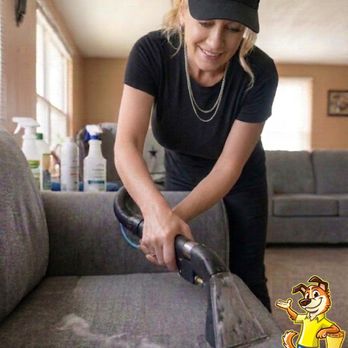 Not Your Average Carpet Cleaner - Carpet Cleaning Near Me Not Your Average Carpet Cleaner - Carpet Cleaning Near Me