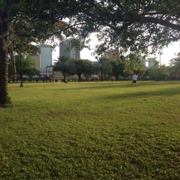 Open space and lots of dogs