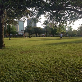 Confederate Park - Open space and lots of dogs - Dog Parks Near Me - Jacksonville, Florida