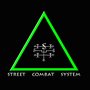 Photo of Street Combat System