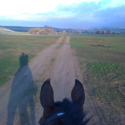 Camelot Equestrian Park - A nice trail ride on a beautiful morning.