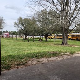 My daughter's school buses and front gate. We are having such a fun time; there are so many kids. So always eyes on your child My daughter's school buses and front gate. We are having such a fun time; there are so many kids. So always eyes on your child