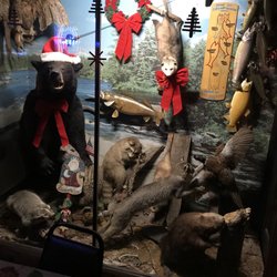 Black Bear Food & Spirits
