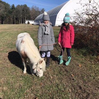 Full EnVision Farm - Mini Princess Fiona - Horseback Riding Near Me - Berkley, Massachusetts