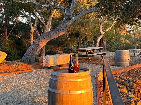 Lester Estate Wines by null