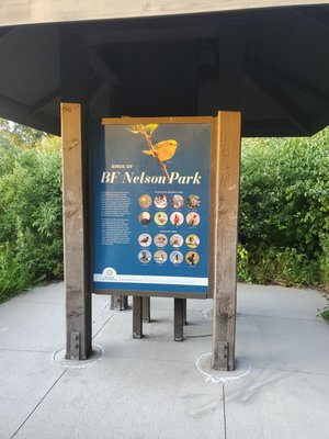 BF Nelson Park by null