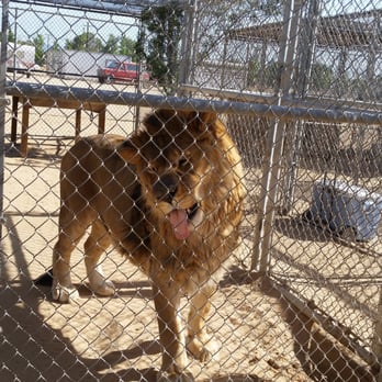 Hesperia Zoo - Zoos Near Me - Hesperia, California