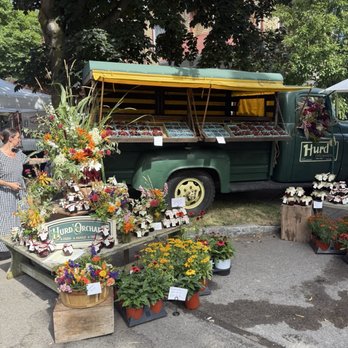 Corn Hill Arts Festival - Festivals Near Me - Rochester, New York