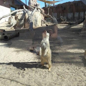 El Paso Zoo - Aquariums Near Me - El Paso, Texas El Paso Zoo - Aquariums Near Me - El Paso, Texas