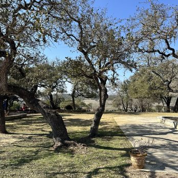 Driftwood Estate Winery - Views walking to the tasting room - Wineries Near Me - Driftwood, Texas