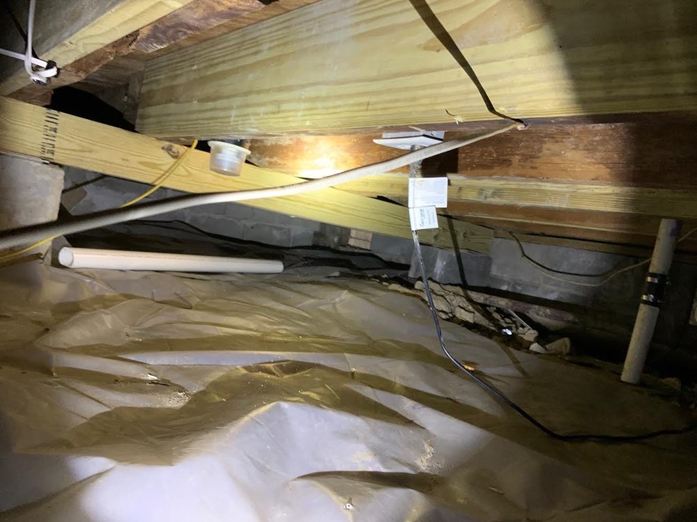 HAMPTON ROADS TERMITE & PEST CONTROL Updated September 2024 15