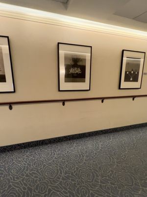 Memorial Sloan Kettering Cancer Center New York - Main Hospital by null