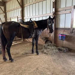 Stepping Stone Ranch