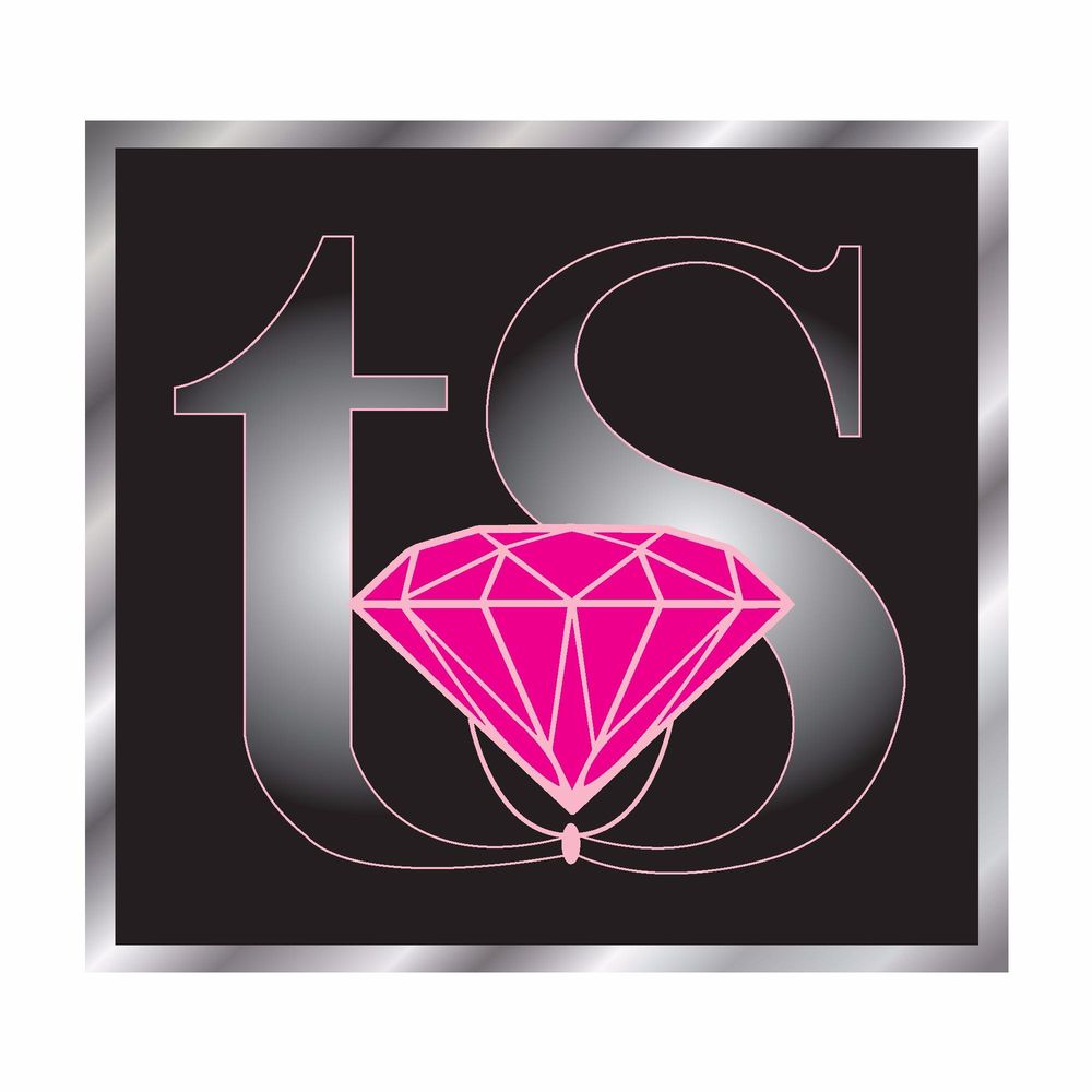 TRANSIT ‘N STYLE Party Bus Rentals 387 Gringo Independence Rd