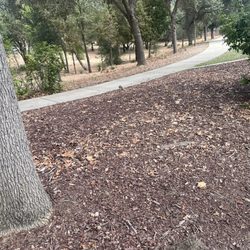 Van Maren Park