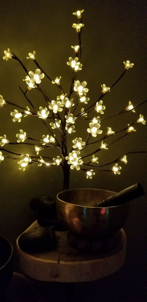 Echo Fusion Healing Arts Logo