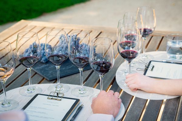 Harney Lane Vineyards by null