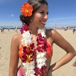 Leis Premium