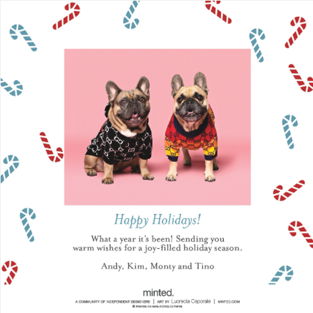 Hilarious Hound Pet Photography - Holiday photo - Pet Photography Near Me Hilarious Hound Pet Photography - Holiday photo - Pet Photography Near Me