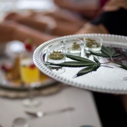 Cultivating Spirits - Cannabis being served.