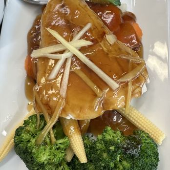 Thai Kitchen 29 - Honey snapper - Thai Near Me - New Britain, Connecticut