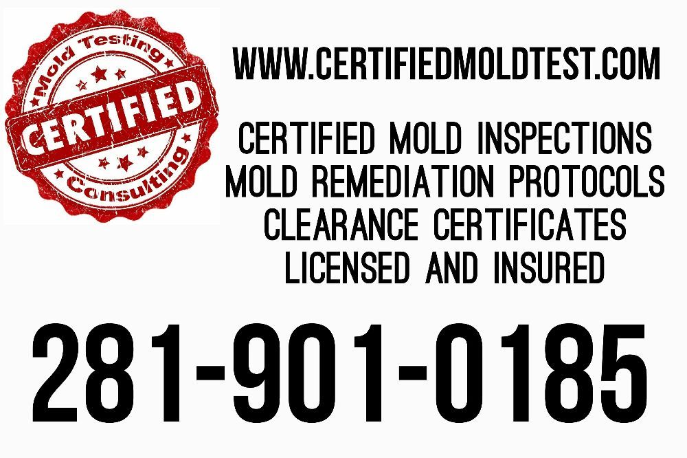Certified Mold Testing and Consulting - mold inspector in Houston, TX