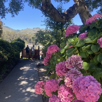 Saddle Mountain  - Walkway to pool - Campgrounds Near Me - Carmel, California
